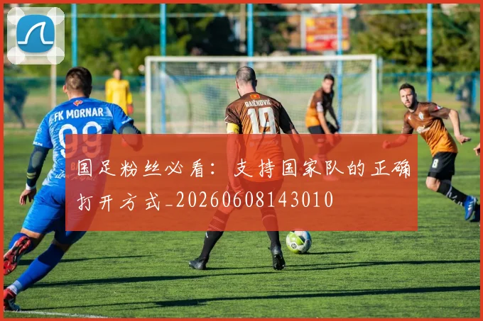 国足粉丝必看:支持国家队的正确打开方式_20260608143010